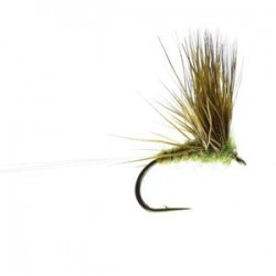 Olive Double Decker - 1