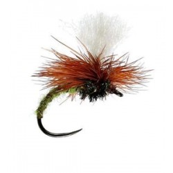 Olive Klinkhammer - 1