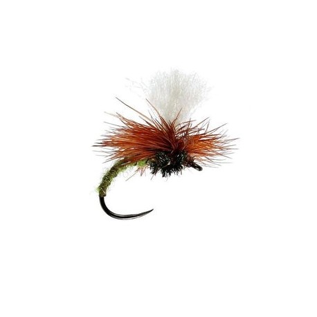 Olive Klinkhammer - 1