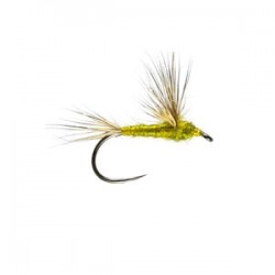 Olive Sulphur Comparadun - 1