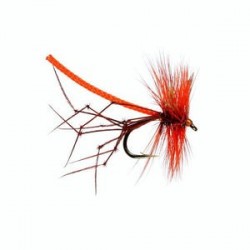 Orange Lanky Daddy - 1