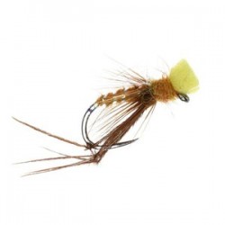 Popper Hopper Sunburst - 1