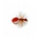 Red Ant Fur Body Fly - 1