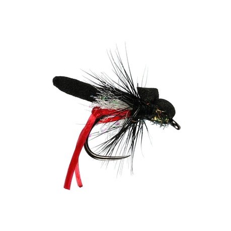 Red Legs Hawthorne - 1