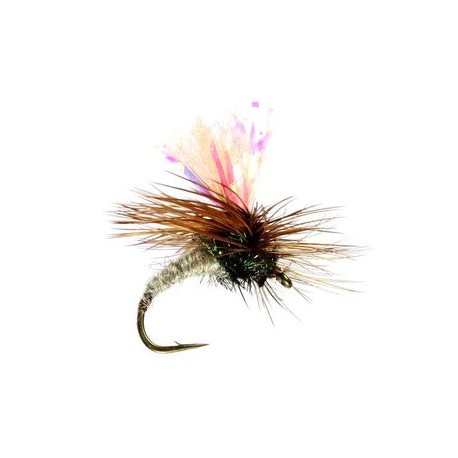 Sedge Klinkhammer Special - 1