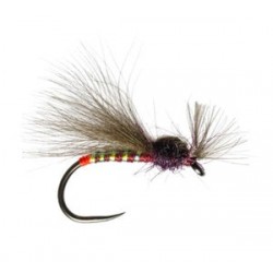 Shipo Claret Buzzer - 1