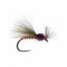 Shipo Claret Buzzer