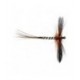 Spent Brown Mayfly - 1