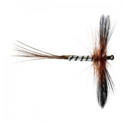 Spent Brown Mayfly - 1