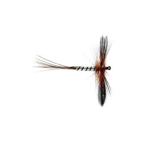 Spent Brown Mayfly - 1