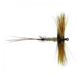 Spent Hackled Mayfly - 1