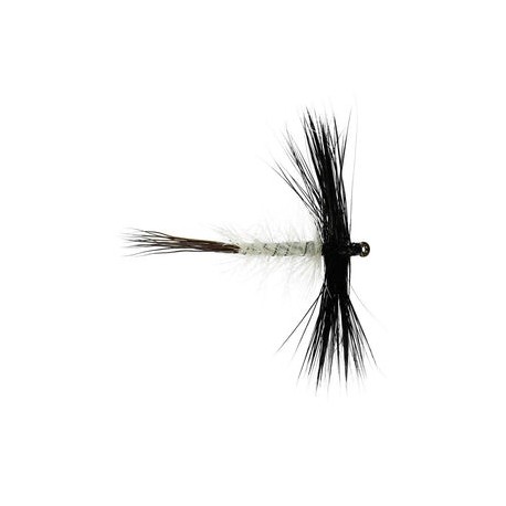 Spent Male Mayfly - 1