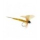 Thomas Yellow Mayfly - 1