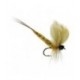 Thomas Yellow Mayfly
