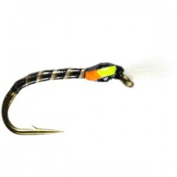 Chatton Epoxy Buzzer - 1