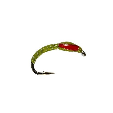 Epoxy Buzzer Olive - 1