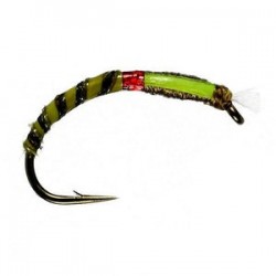 Olive Quill Buzzer