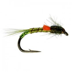 Olive Quill Orange Fb Buzzer