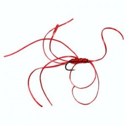 Red Beaded Quad Bloodworm