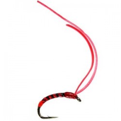 Super Flex Buzzer Bloodworm - 1