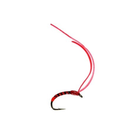 Super Flex Buzzer Bloodworm - 1