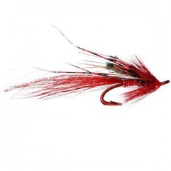 Allys Shrimp Red Salmon Double Red - 1