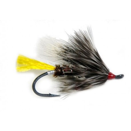 Black Rat - 1