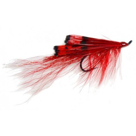 General Practitioner Red - 1