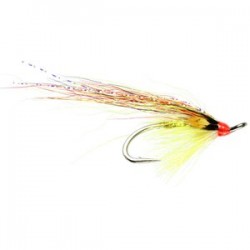 Junction Gunn Salmon Double