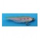 Rainbow Trout Fry Pattern - 1
