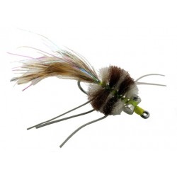 Isabelle's Permit Crab - 1