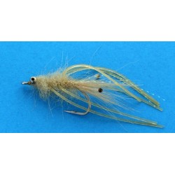 Mantis Shrimp Shrimp Pattern - 1