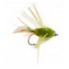 Raghead Crab Olive