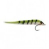 Shimmering Perch