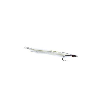 Silver Baitfish - 1