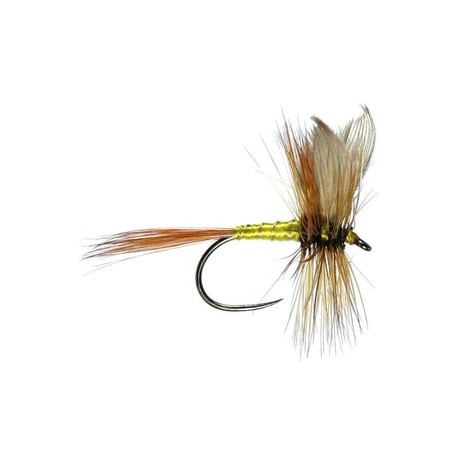 Greenwells Glory Barbless - 1