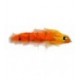 Tarpon Bunny Orange