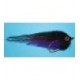 Tarpon Streamer Black and Purple - 1