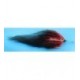 Tarpon Streamer Black and Red