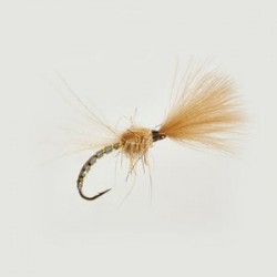 Cdc Shuttlecock Hares Ear - 1