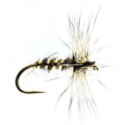 Gold Ribbed Hares Ear