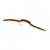 San Juan Worm Brown