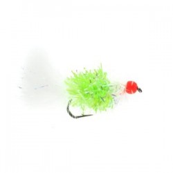 Cats Whisker Hot Head