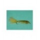Epoxy Minnow Gold - 1