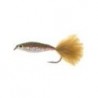 Glass Minnow Rainbow