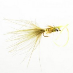 Kicking Damsel Olive - 1