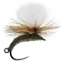 Klink And Dink Adams Barbless - 1