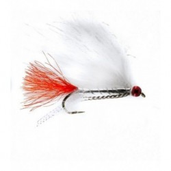 Perch Special Dg - 1