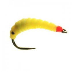 Latex Maggi Barbless - 1