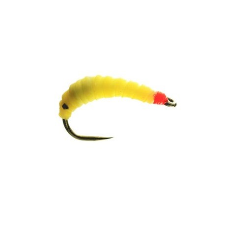 Latex Maggi Barbless - 1